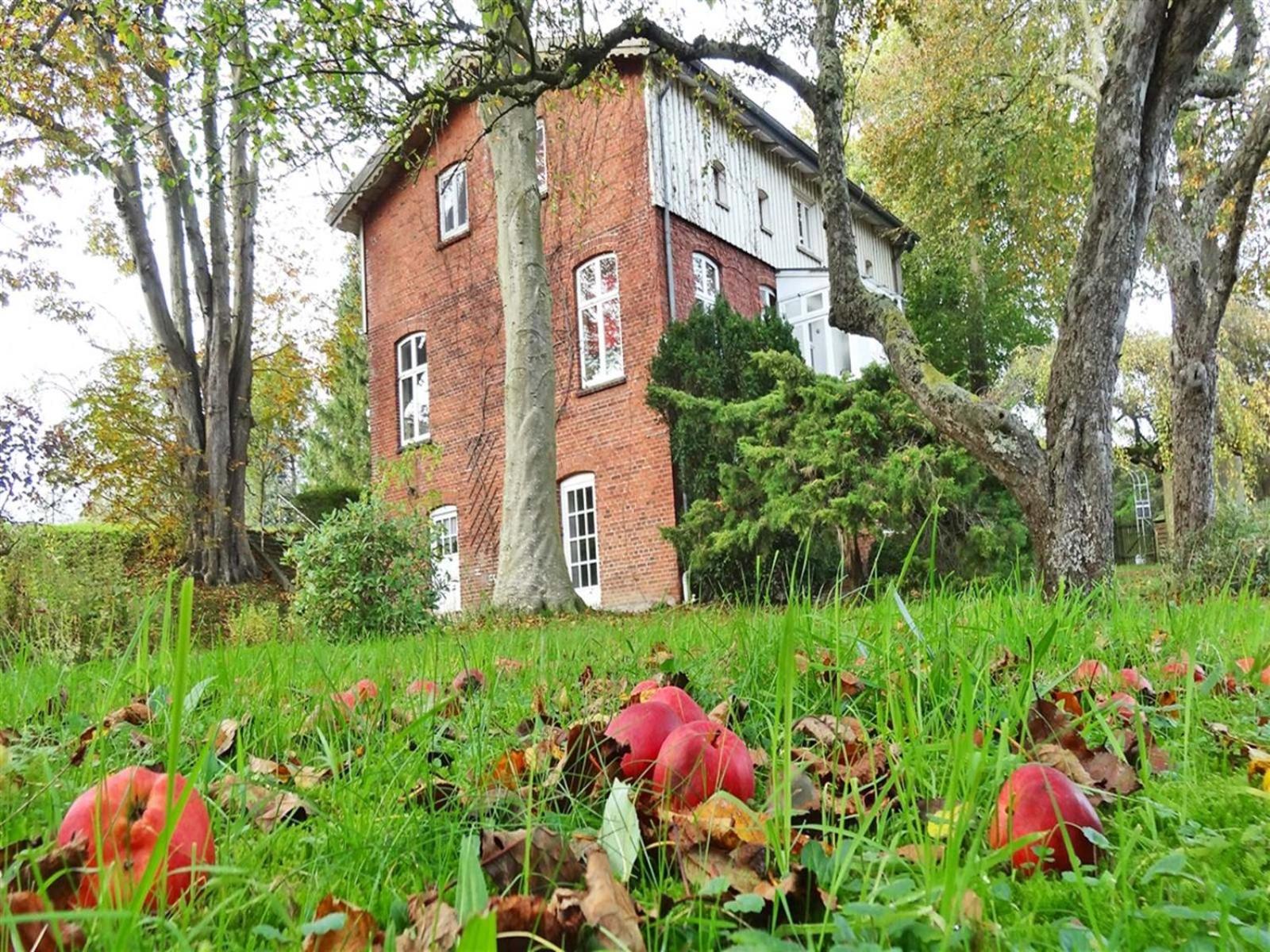 Ferienhaus Naturlich Wassermuhle Kappeln Exterior photo